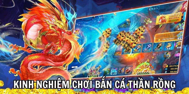 Kinh nghiệm săn cá từ cao thủ hàng đầu